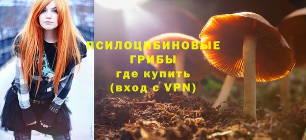 прущие крисы Ладушкин